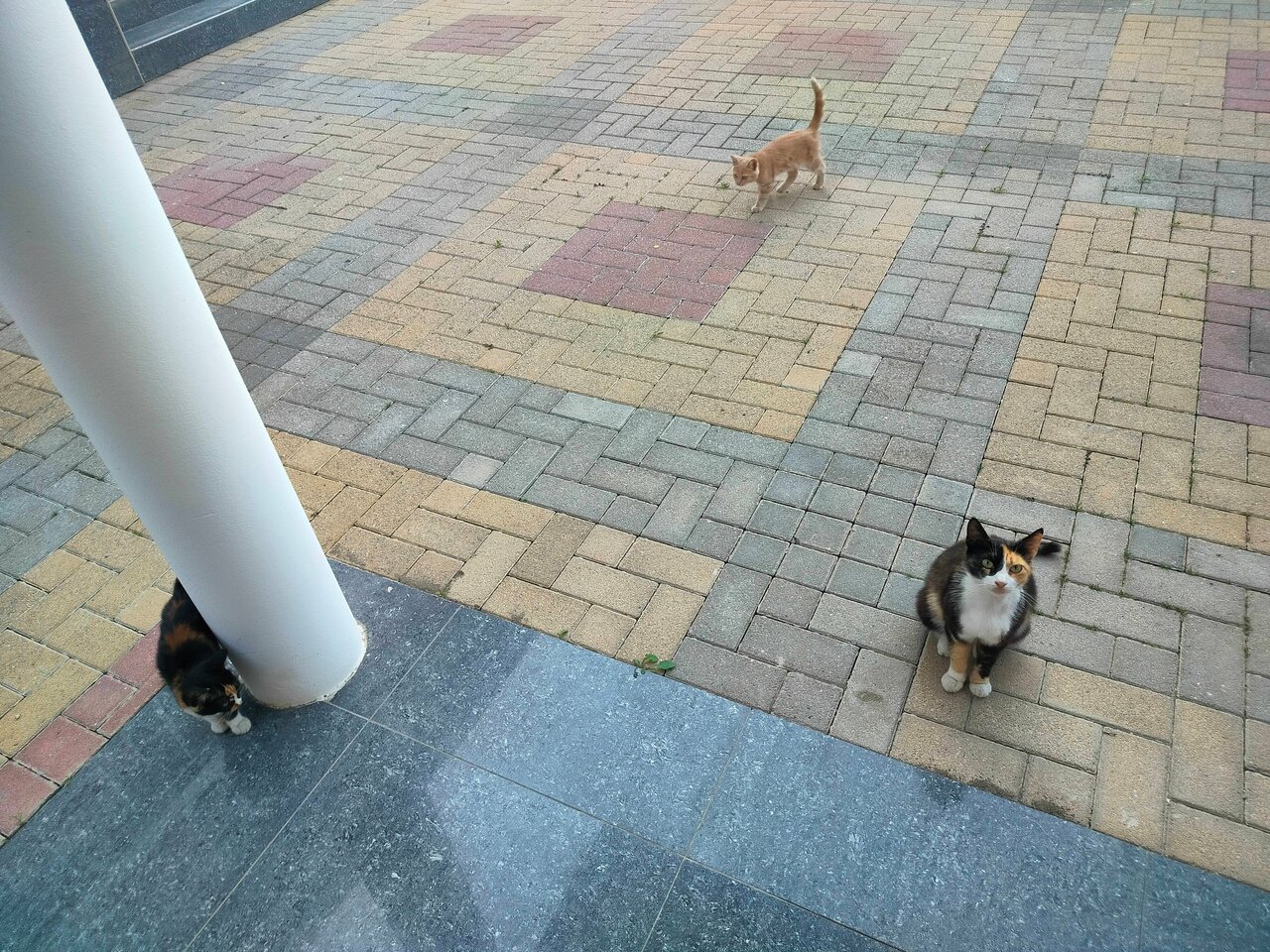 Гостиница Солнечная Гавань Новороссийск-195