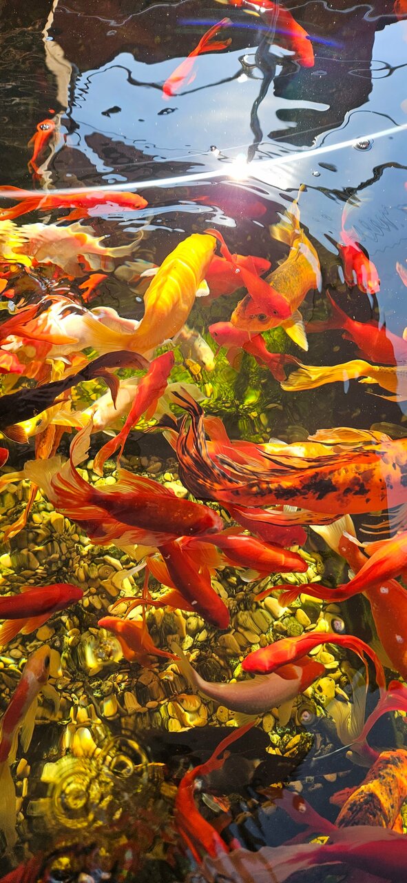 Гостиница Солнечная Гавань Новороссийск-173