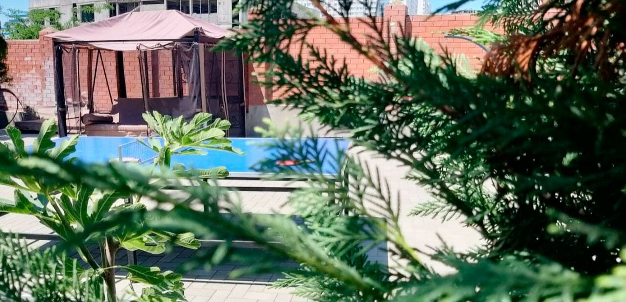 Гостиница Солнечная Гавань Новороссийск-42