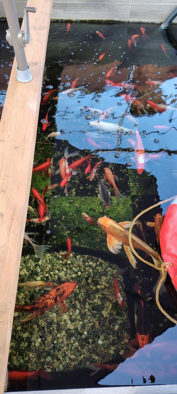 Гостиница Солнечная Гавань Новороссийск-179