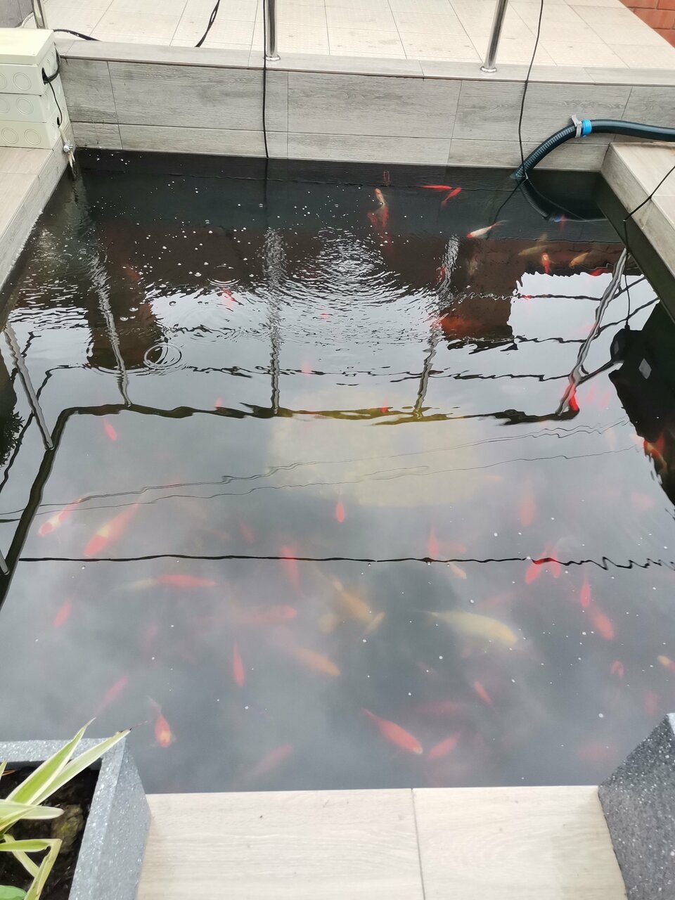 Гостиница Солнечная Гавань Новороссийск-133