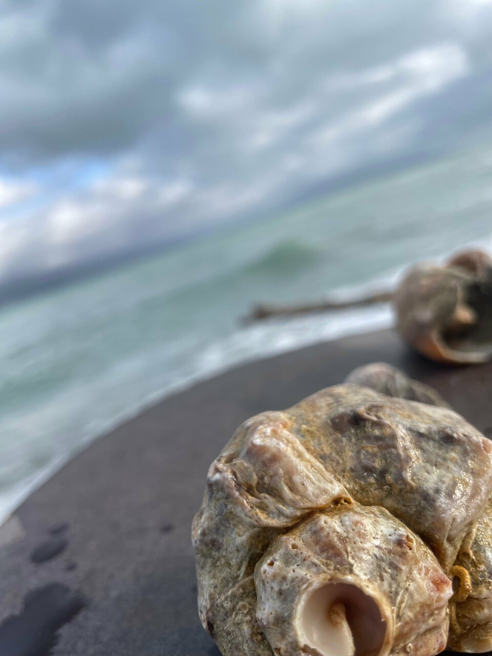 Гостиница Солнечная Гавань Новороссийск-130