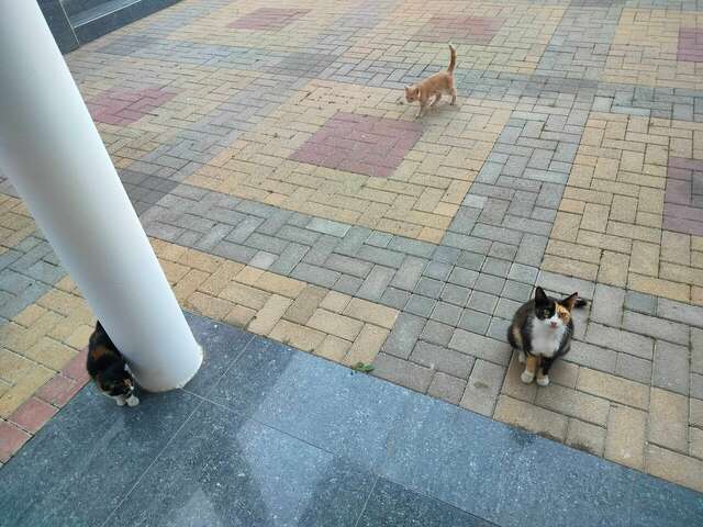 Гостиница Солнечная Гавань Новороссийск-194