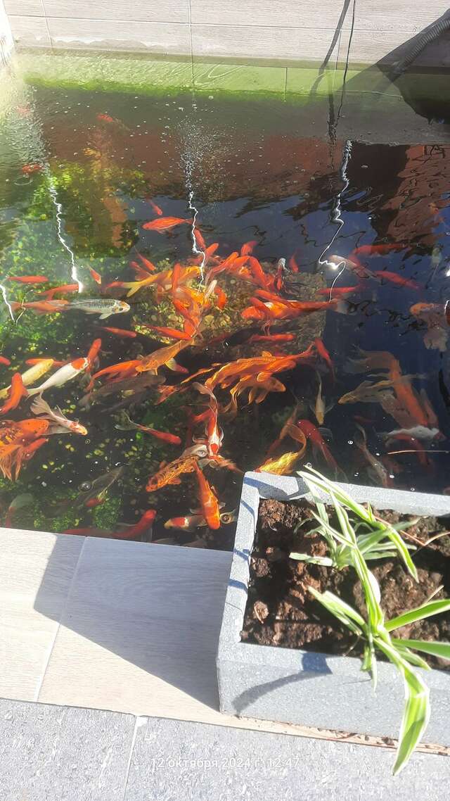 Гостиница Солнечная Гавань Новороссийск-123