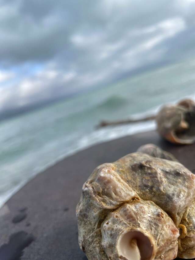 Гостиница Солнечная Гавань Новороссийск-129
