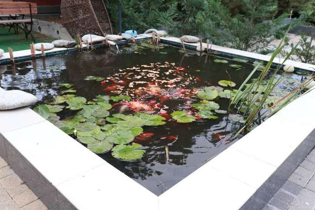 Гостиница Солнечная Гавань Новороссийск-27