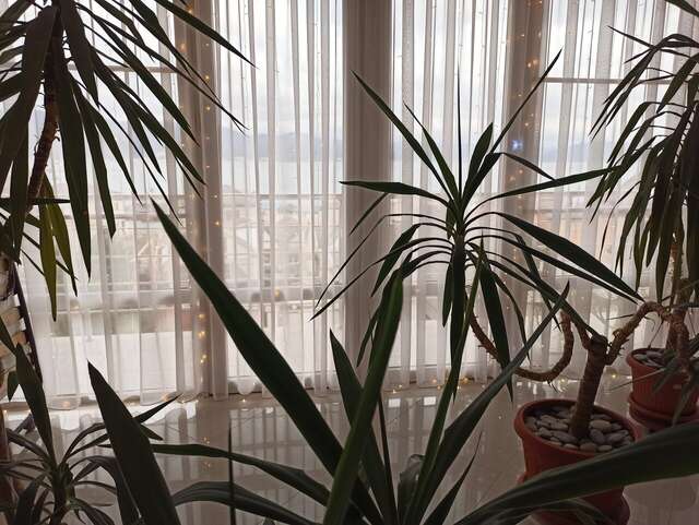 Гостиница Солнечная Гавань Новороссийск-16