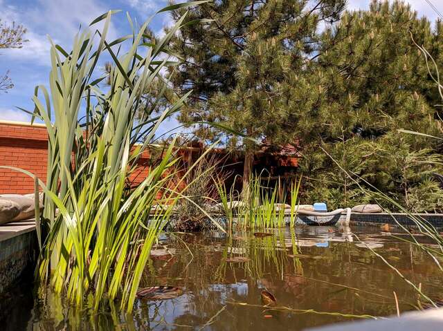 Гостиница Солнечная Гавань Новороссийск-48